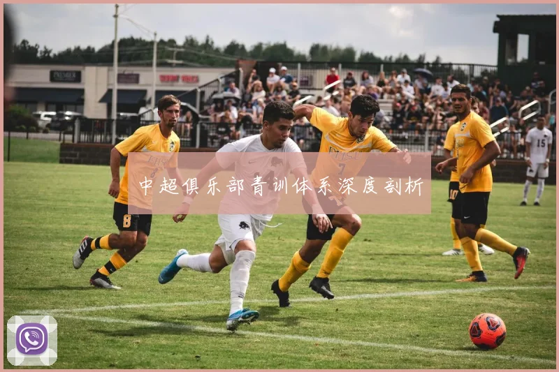 中超俱乐部青训体系深度剖析